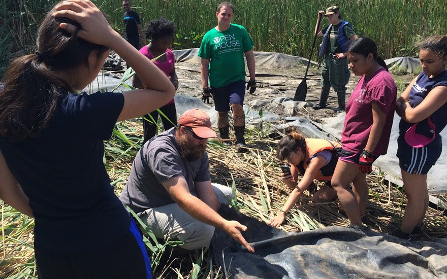 David Decker shows the team a section of Constitution Marsh that had been covered to kill the invasive reeds. Once phragmites are gone from an area, natural species grow back in, creating a more diverse, healthier wetland. SSRFP 2015 Fieldwork