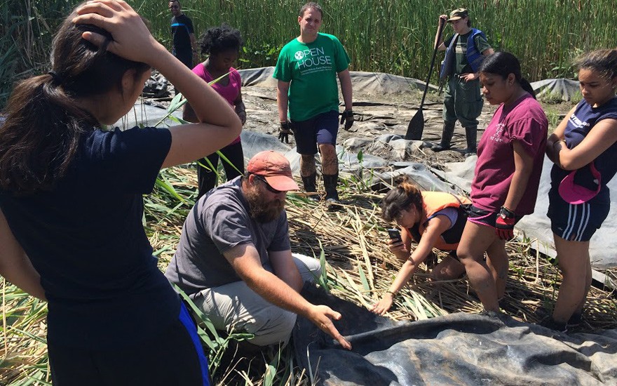 SSRFP 2015 Fieldwork