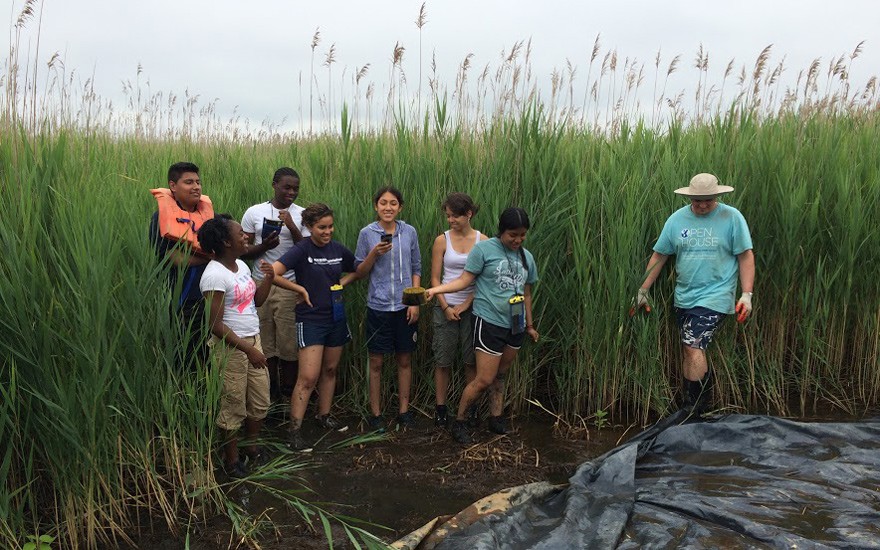 SSRFP 2015 Fieldwork