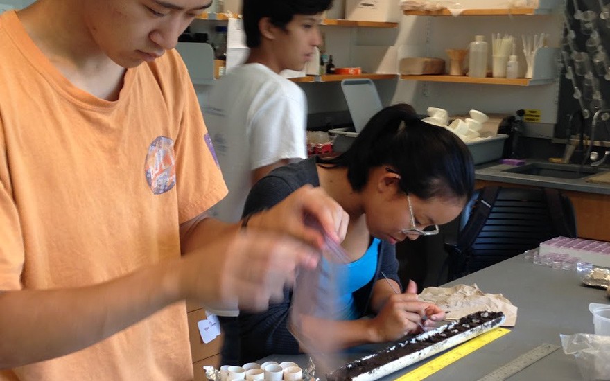 Eric Sun, Avery Templo and Amy Zhang compare the amounts of organic and inorganic material in a soil sample. They also worked with Lamont scientist Liz Corbett to test for methane content from the marsh's decaying plant matter. SSRFP 2015 Lab Work