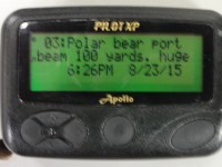 polar bear text