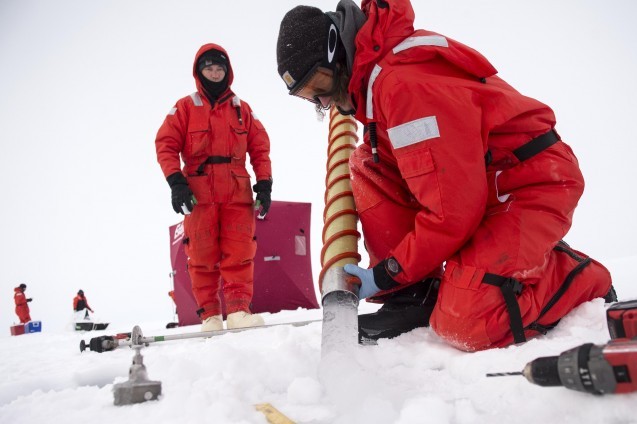 Section of sea ice core collected by drilling into the ice. (Photo Cory Mendenhall, USCG)