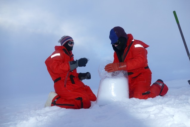Bagging up the snow from the snow station. Each sample is labeled by quadrant of ice collected. (Photo B. Schmoker)