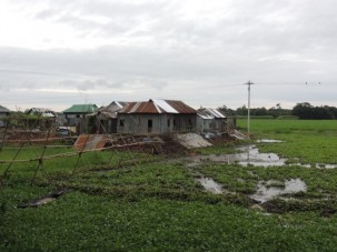 House in the middle of the wet fields. During the summer monsoon, it will be an island connected by the bamboo bridge.  In a month it will be connected by dry land