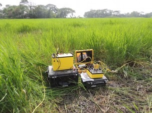 Our resistivity meter set up in a rice field.  We were able to collect data at the cost of very muddy legs. 