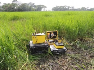 Our resistivity meter set up in a rice field. We were able to collect data at the cost of very muddy legs.