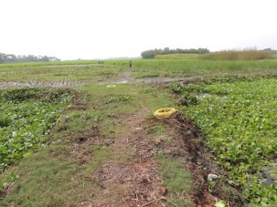 Spools of the cable we use along where we collected the profile. We used the slightly raised boundaries between fields for access, to avoid stepping on the crop and to stay a little less muddy.