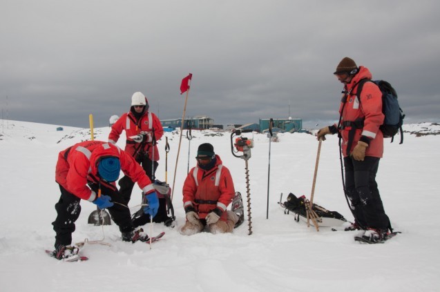 Jamie Collins, a research colleague of Jeff Bowman, measures ice thickness outside Palmer Station in Antarctica. The ice was about 70 cm thick. Photo: Jeff Bowman
