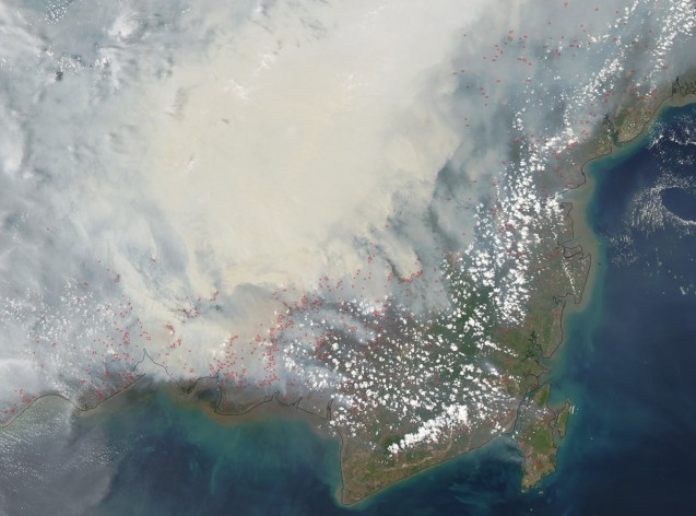Fires on the island of Borneo are visible from space. (NASA) 
