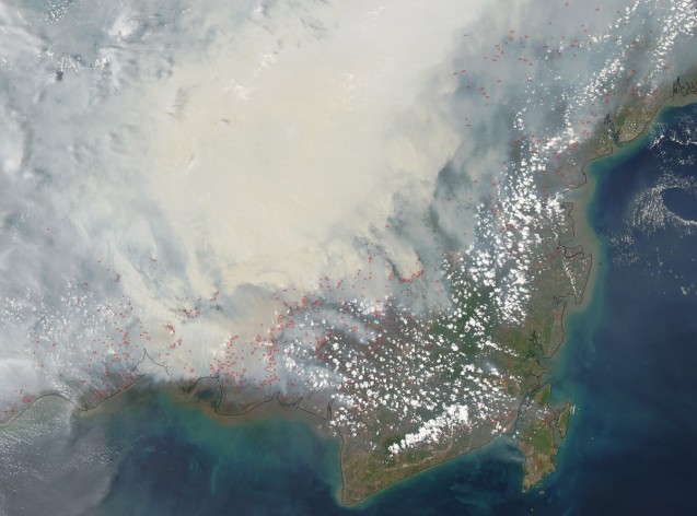 Fires on the island of Borneo are visible from space. (NASA)