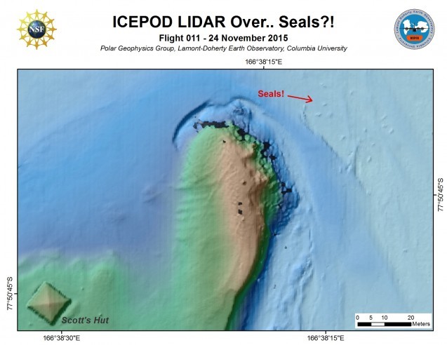 Yes those are seals! Weddell seals lying on the  ice and imaged by the LiDAR. (Processed by S. Starke) 
