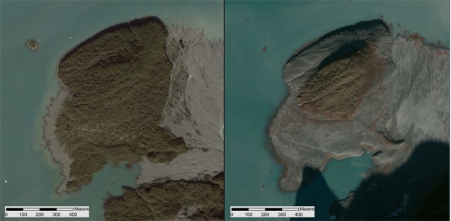 An island in Taan Fiord, about 10 km from the landslide, shown by satellite in 2014 (left) and a few days after the landslide and tsunami (right). (Colin Stark)