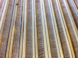 Thin, polished cores in the Tree Ring Lab at Lamont-Doherty Earth Observatory. Credit: Nicole Davi