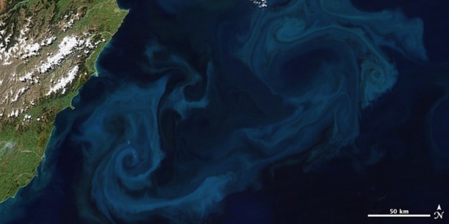 With the right mix of nutrients, carbon-capturing phytoplankton grow quickly, creating blooms visible from space. (Robert Simmon and Jesse Allen/NASA)