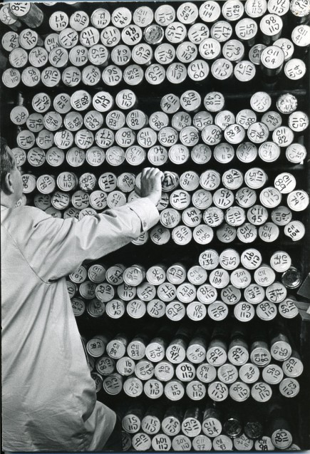 Tubes containing deep-sea sediment cores housed in the Lamont Core Repository. (Lamont-Doherty Earth Observatory)