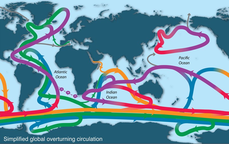 Ocean overturning circulation illustrated. Courtesy of co-author Lynne Talley. 