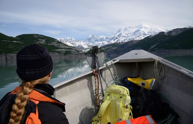 Anja Dufresne of the University of Freiburg collects data in Taan Fiord, where the tsunami’s impact is evident in the trim line of the trees along the edges of the fiord. Photo: Colin Stark