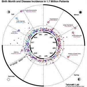 This data visualization maps the statistical relationship between birth month and disease incidence in the electronic records of 1.7 million New York City patients. Graphic: Nick Tatonetti/Columbia University Medical Center