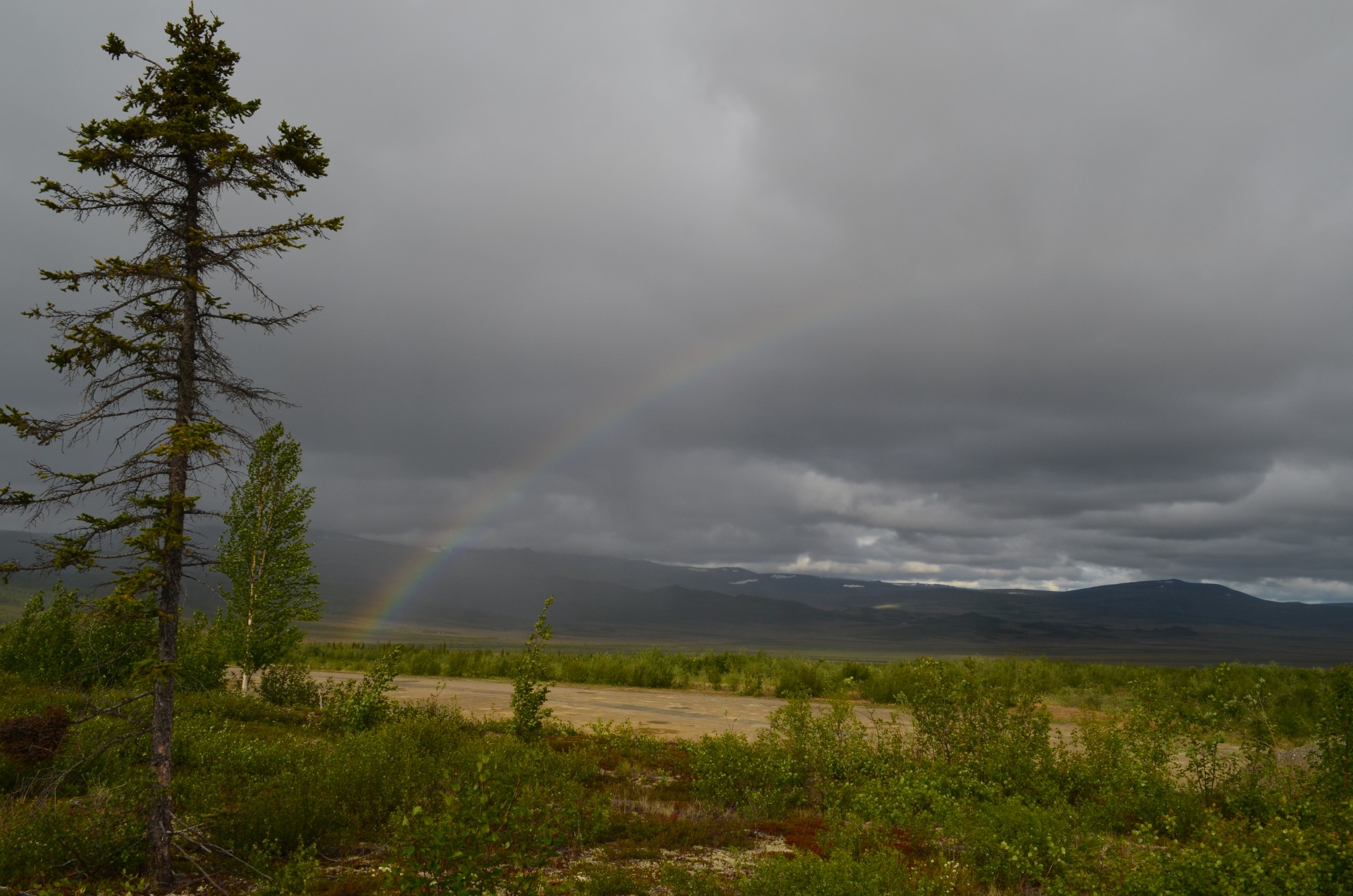 Near the arctic circle in northern Alaska, forests begin giving way to tundra. as cold air, frozen soils and lack of sunlight squeeze out trees. Researchers are investigating how warming climate may affect the ecology of this boundary. (All photos: Kevin Krajick) CLICK TO VIEW A SLIDESHOW