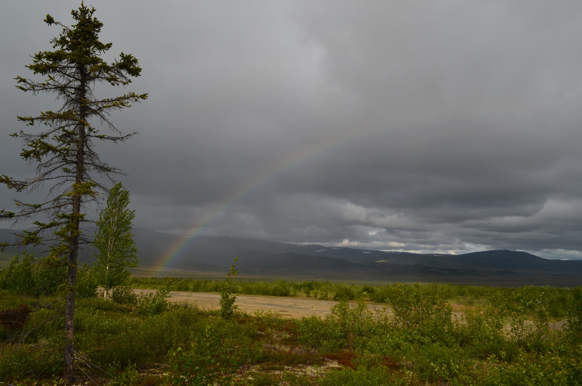 Near the arctic circle in northern Alaska, forests begin giving way to tundra. as cold air, frozen soils and lack of sunlight squeeze out trees. Researchers are investigating how warming climate may affect the ecology of this boundary. (All photos: K