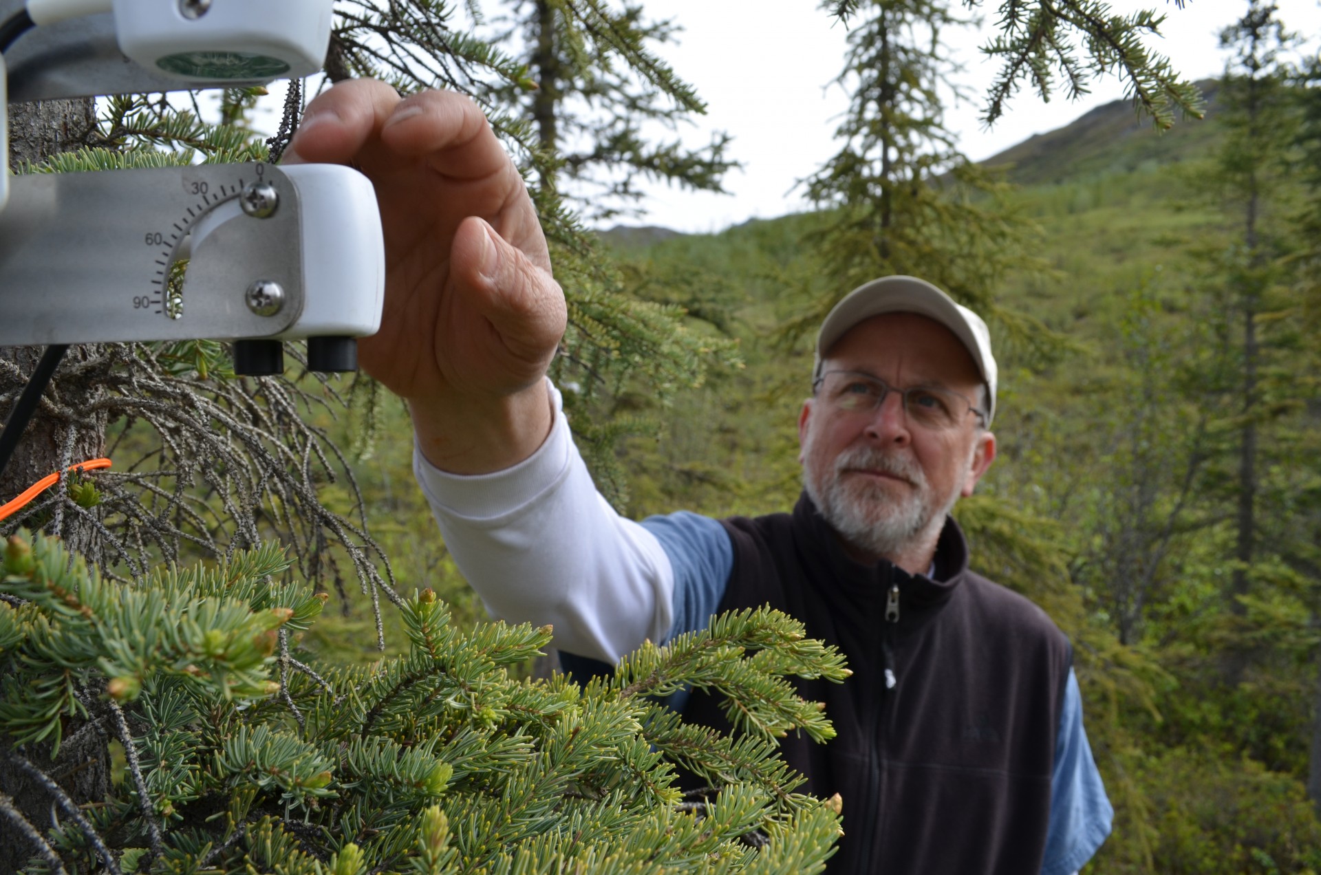 Lamont-Doherty plant physiologist Kevin Griffin checks an instrument designed to monitor a spruce tree’s photosynthetic activity.
