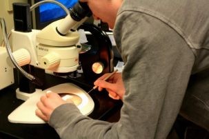 Intern Addison Bent at work in the Lamont Core Repository. Photo: Rebecca Fowler