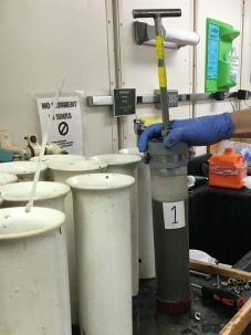 A pushcore of seafloor sediment arrives for sampling. Photo: Bridgit Boulahanis
