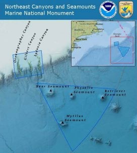 The new Northeast Canyons and Seamounts Marine National Monument. Image: NOAA