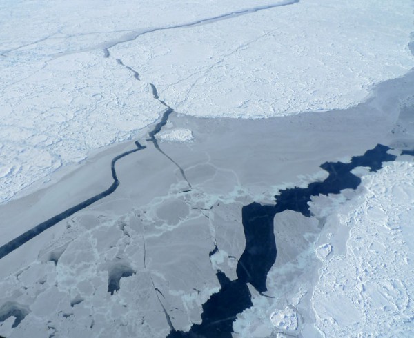 Sea ice near the east coast of Greenland. All forms of ice in the Arctic are in rapid decline. (Margie Turrin/Lamont-Doherty Earth Observatory)