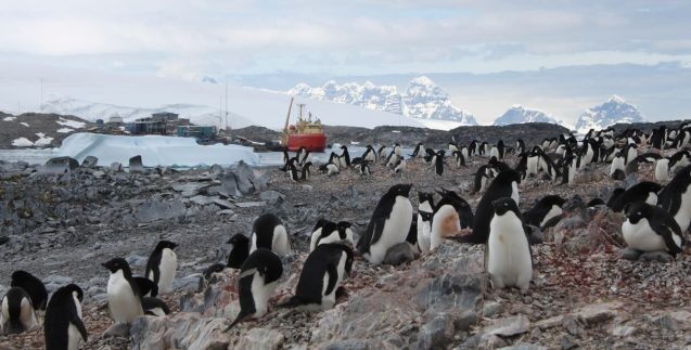 Palmer Station, Antarctica. Courtesy of the Long Term Ecological Research Network