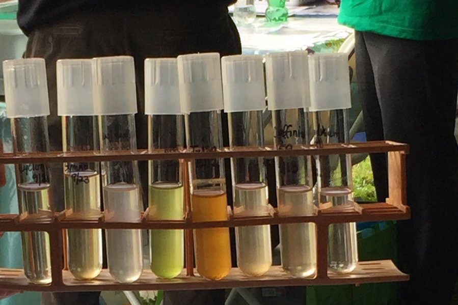 Phytoplankton have a rainbow of pigments that help collect sunlight and keep our planet habitable. Dyhrman Lab showed them off and reminded guests: "Take a breath, thank a phytoplankton." 92-Open-House-2016-phytoplankton-dyhrman-lab-image-x6x4