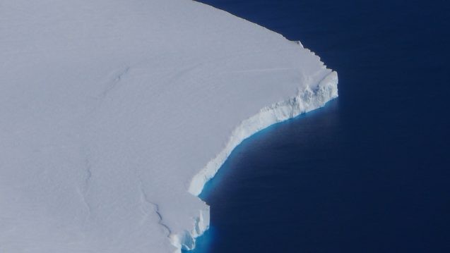 Ice shelves sit primarily below the ocean surface. Getz measures close to 200 ft. at the front but with another 1000 ft. below the surface. The rich blue color along the front edge is from that deep reaching ice front. (Photo M. Turrin) 