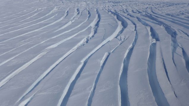 Crevassing in the ice shows areas where there is strain from ice flowing at different rates. Ice will often crevasse as it accelerates. (Photo M. Turrin)