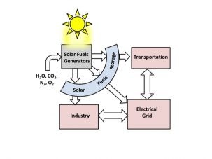 fueluses