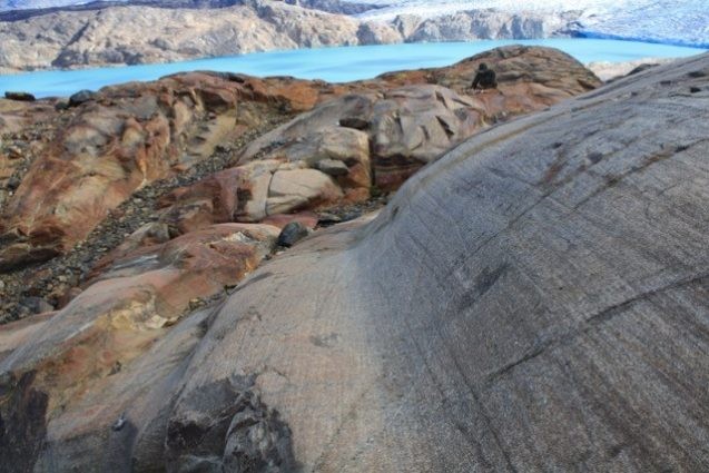 Upsala Glacier, Argentina, where scientists collected glacial dust samples. When glaciers move across bedrock, they scrape against it (see glacial grooves in the foreground), and grind it into smaller particles, which may then get blown out to sea. The turquoise blue water of the lake in the background is caused by the milkiness of the fine glacial dust suspended in it. (Elizabeth Shoenfelt)