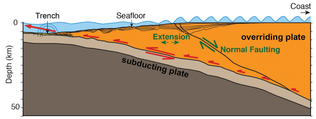 A tsunami can occur as ocean crust (brown area) dives under continental crust (orange), causing the ocean floor to suddenly moves. In one region off Alaska, researchers have found a large fault and other evidence indicating that the leading edge of the continental crust has split off, creating an area that can move more efficiently, and thus may be more tsunami-prone. (Anne Becel)