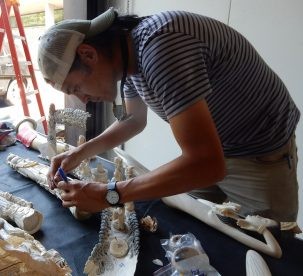 Kevin Uno marks carved tusks for sampling.