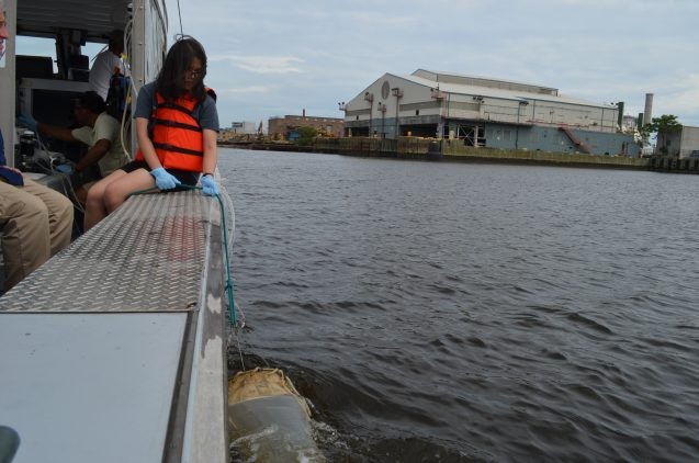 Barnard College student Shelly Lim drags a net through the waters of Newtown Creek, bordering Queens and Brooklyn.