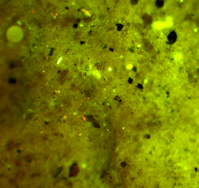 Glowing particles in this microscope image are plastic particles; spherical ones like the one at upper left are plastic microbeads. (Joaquim Goes)