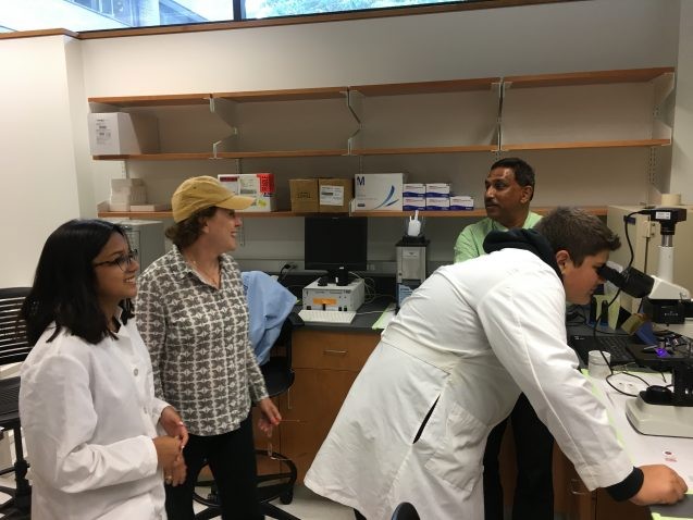In Goes's lab, high-school students Roman Louw (at microscope)) and Reaan Sarker (far left) examine samples. (Kim Martineau)