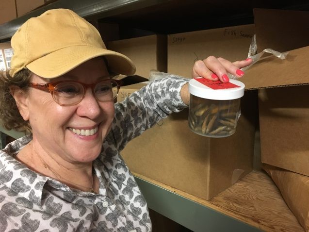 High school science teacher Debra Magadini holds a jar of fish cfrom a marsh near Lamont. Students will analyze their guts for plastics, including microbeads. (Kim Martineau)