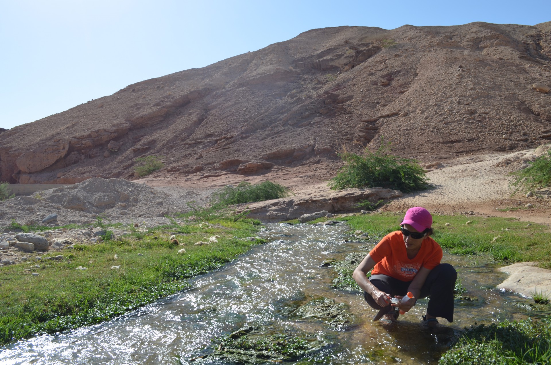 Part of the Dead Sea's water comes from small streams trickling through side canyons. The team sampled a series of these to analyze the water chemistry.