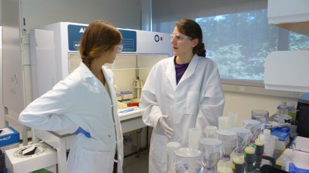 Gwenn Hennon (right), a postdoctoral research scientist at Lamont-Doherty, talks with her summer student Olivia “Liv” Williamson. Hennon grew marine microbes under a range of carbon dioxide levels to examine how they would respond to changing ocean conditions. (Image: Alexandra Bausch)