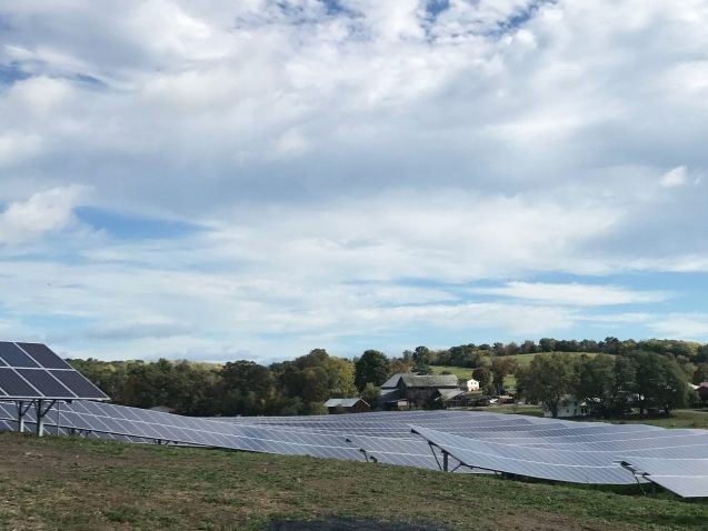 solar panels stretch across a field