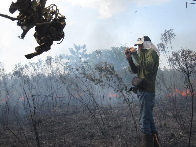 In the Peruvian Amazon, a researcher studies a fire set by farmers in order to clear land. (Kevin Krajick/Earth Institute)