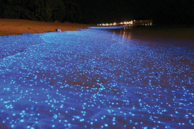 blue sparkles in water