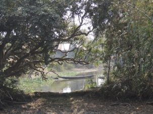 7Boatthroughtrees 303x227.jpg