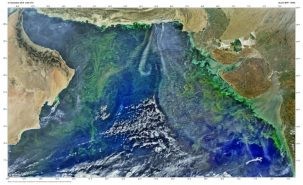 satellite image of algae blooms
