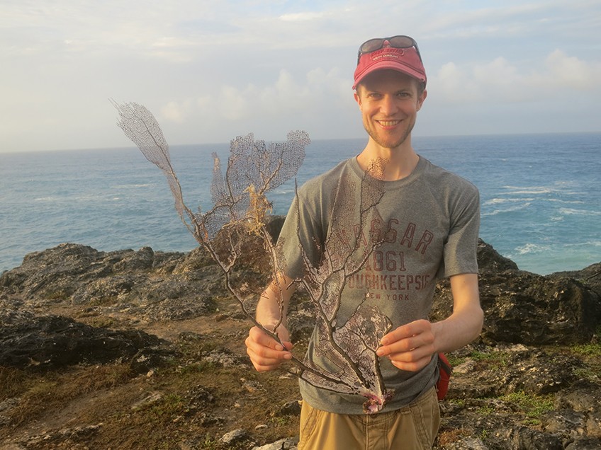 A washed-up sea fan is one of many species probably not preserved in the fossil deposits; it is too delicate. Scientists can rarely, if ever, get a 100 percent picture of the past. 15