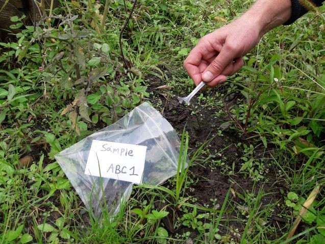 spooning soil into a plastic bag